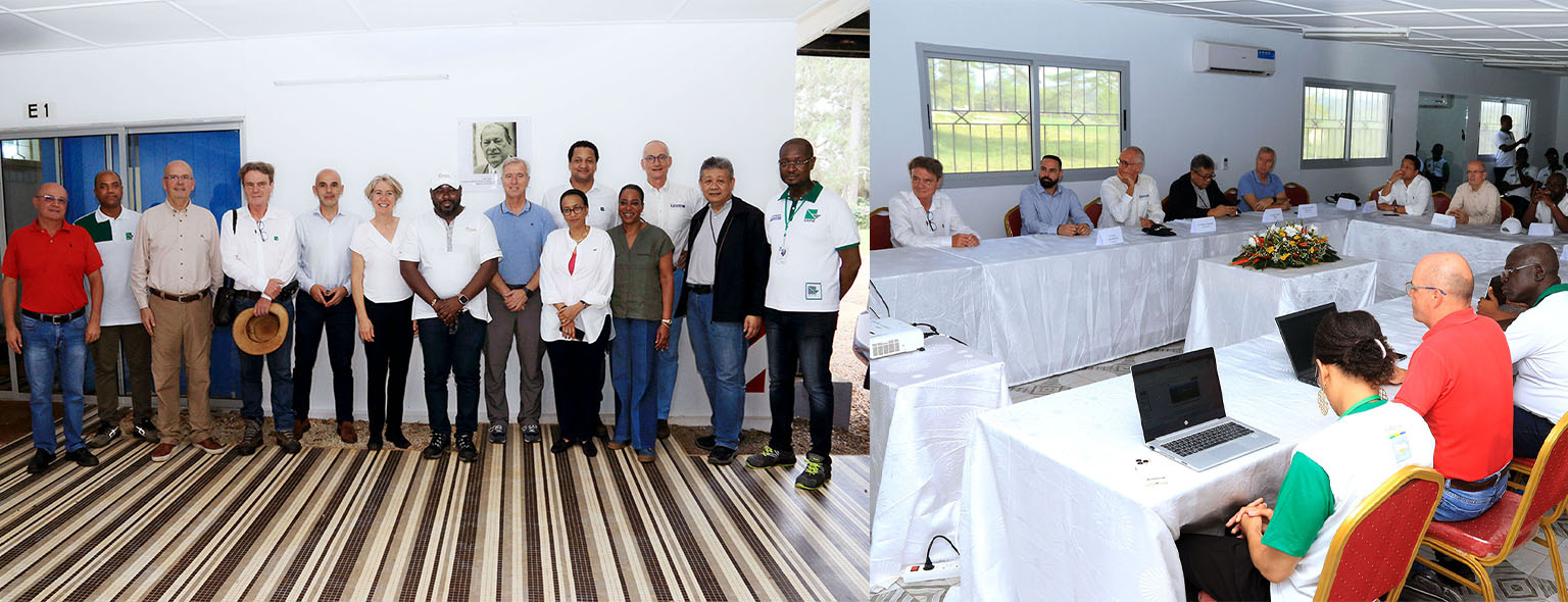 Hévéaculture en Côte d’Ivoire – Le Groupe SIFCA a reçu une importante délégation du Groupe Michelin, conduite par M. Yves CHAPOT, Vice-Président.